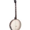 Gold Tone 4-String Irish Tenor Openback Banjo With 17 Frets