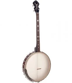 Gold Tone 4-String Irish Tenor Openback Banjo With 17 Frets