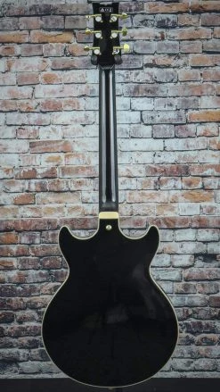 Ibanez AM-Artcore-Expressionist-6str-Electric-Guitar---Black