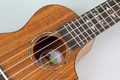 Amahi C-04 Exotic Wood Concert Ukulele Solid Koa Ukuleles 12 Amahi C-04 Exotic Wood Concert Ukulele Solid Koa Ukuleles