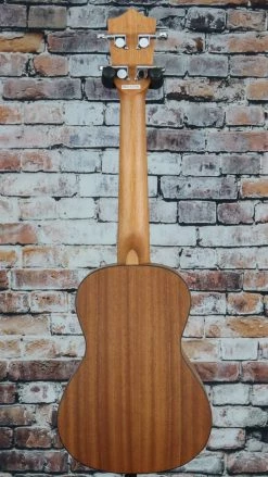 Amahi PG225 Penguin Classic Concert Ukulele