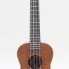 Ukuleles Amahi PGUKM Mahogany Penguin Ukulele