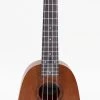 Amahi UK240S Select Mahogany Series Soprano Ukulele | Pineapple Shape Ukuleles
