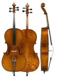Amati's Model #95 3/4 Bass W/ Bag