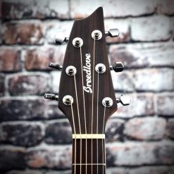 Breedlove Discovery Companion Acoustic Guitar | Sunburst