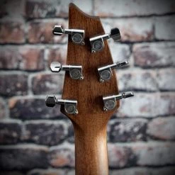 Breedlove Discovery Companion Acoustic Guitar | Sunburst