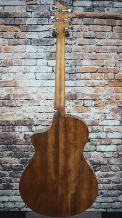 Breedlove Discovery Concert CE Guitar | Suede Stain