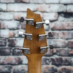 Breedlove Discovery Concert CE Guitar | Suede Stain