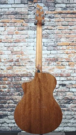 Breedlove Discovery Concert Sunburst CE | DSCN14CESSMA(3)