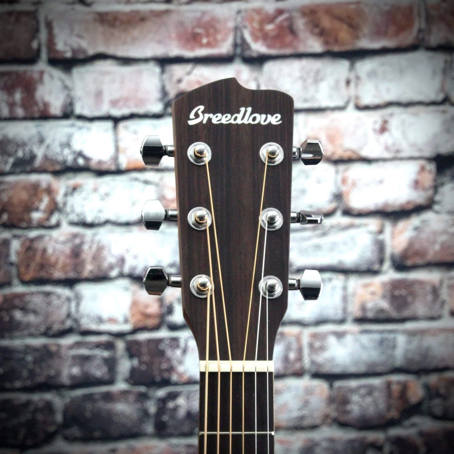 Breedlove Discovery Concerto Guitar 7 Breedlove Discovery Concerto Guitar