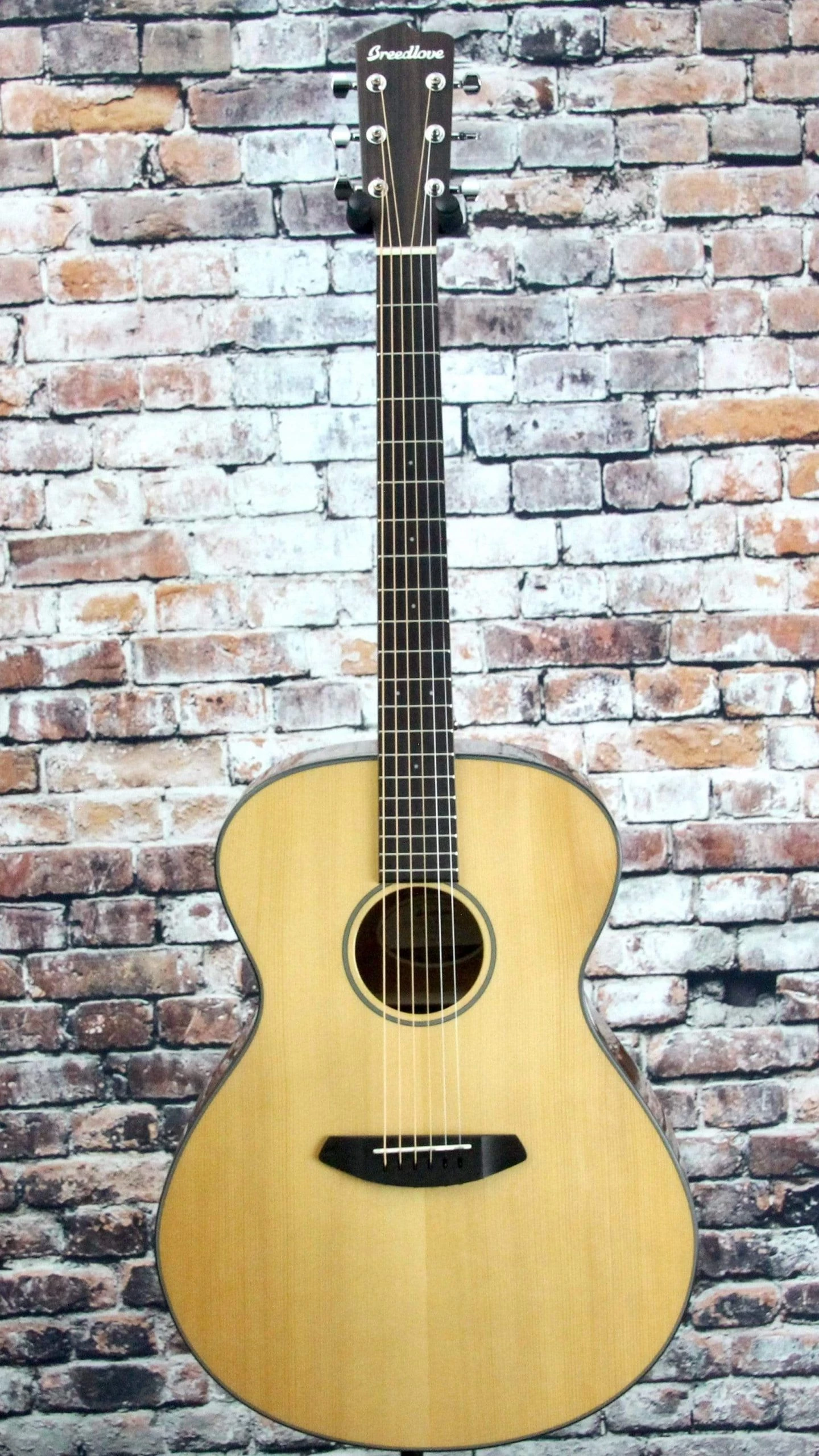 Breedlove Discovery Concerto Guitar 4 Breedlove Discovery Concerto Guitar