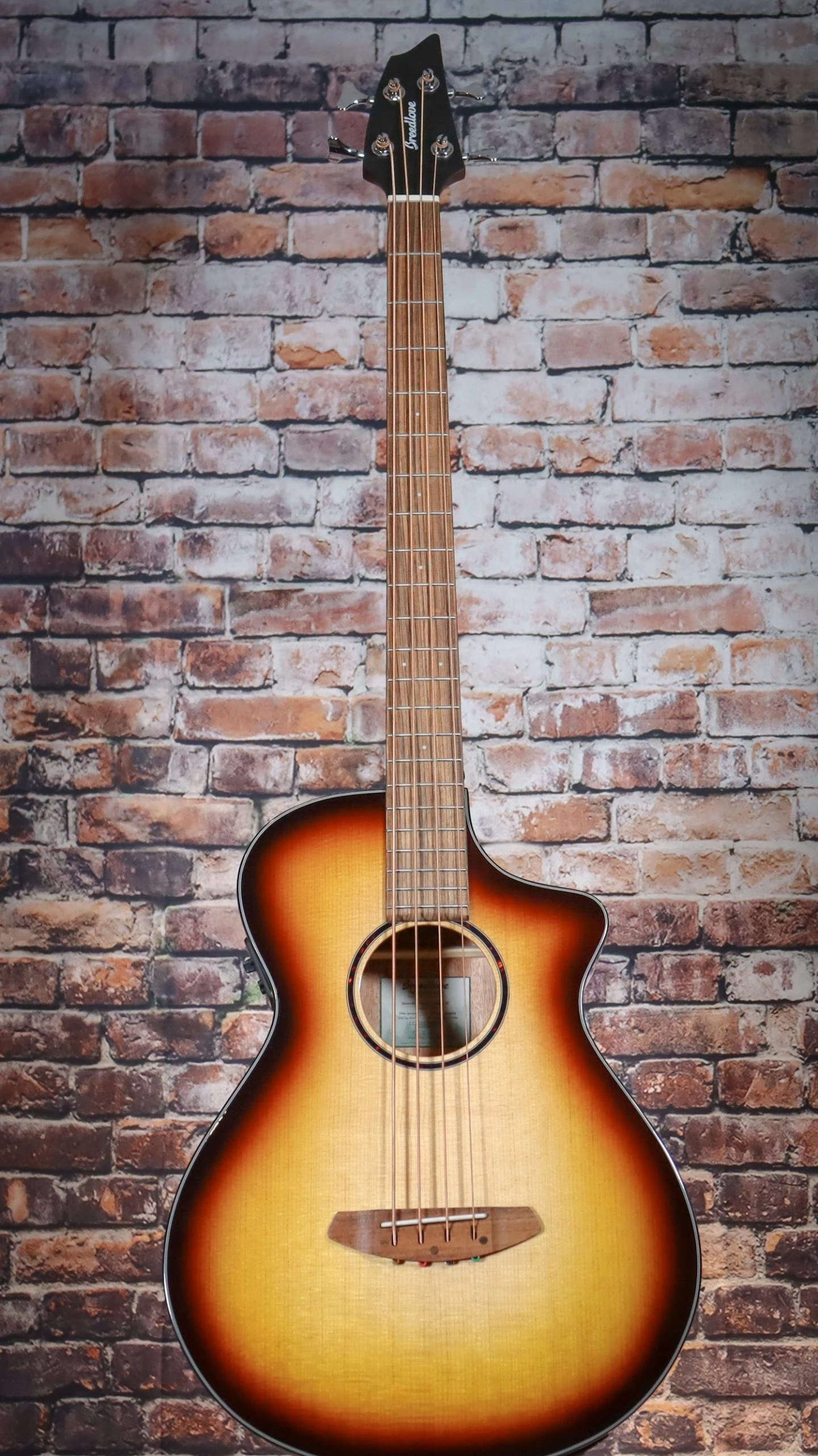 Breedlove Discovery S Concert Edgeburst Bass CE 6 Breedlove Discovery S Concert Edgeburst Bass CE