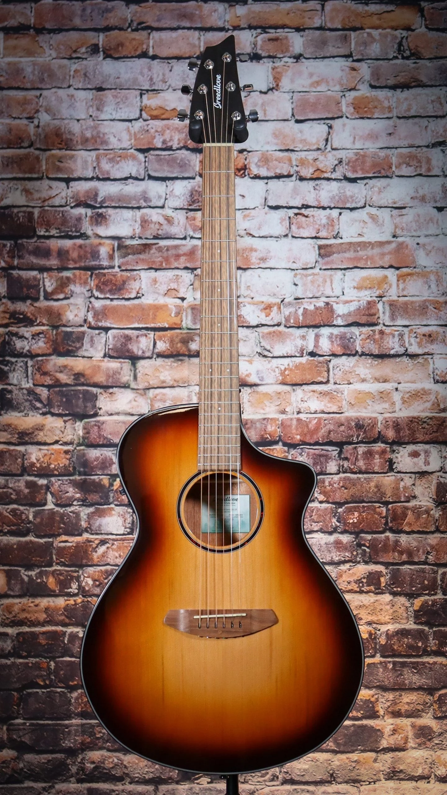 Breedlove Discovery S Concert Edgeburst CE | Red Cedar - African Mahogany 5 Breedlove Discovery S Concert Edgeburst CE | Red Cedar - African Mahogany