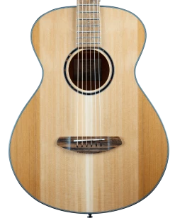 Breedlove Discovery S Concertina Acoustic Guitar