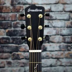 Breedlove Jeff Bridges Amazon Concert Sunburst CE Guitar