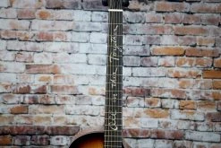 Breedlove Jeff Bridges Amazon Concert Sunburst CE Guitar