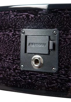 Guitar Breedlove Rainforest S Concert Orchid CE | African Mahogany