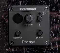 Guitar Breedlove Rainforest S Concert Orchid CE | African Mahogany