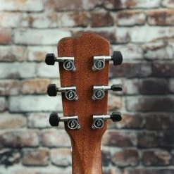 Breedlove Wildwood Concerto Satin CE Mahogany Guitar