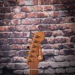 Charvel Pro-Mod DK24 HH 2PT CM Poplar Burl Guitar