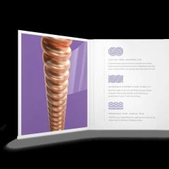 D'Addario Acoustic Phosphor Bronze, Custom Light, 11-52 | XSAPB1152