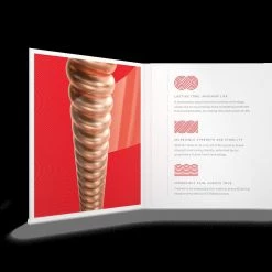 D'Addario Acoustic Phosphor Bronze, Medium, 13-56 | XSAPB1356