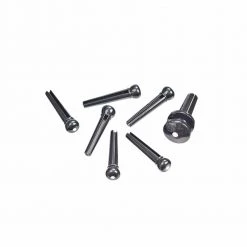 Guitar Accessories D'Addario Plastic Bridge Pins Ebony With Ivory Dot | PWPS10
