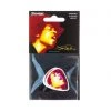 DUNLOP JIMI HENDRIX™ ELECTRIC LADYLAND PICK | JHR03H