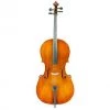 Eastman 1/2 Size Cello Outfit | VC80