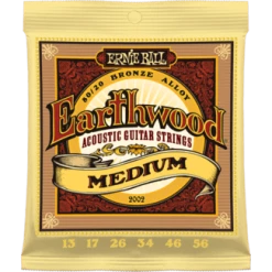 Ernie Ball Earthwood 80/20 Bronze Acoustic Guitar Strings Guitar Accessories