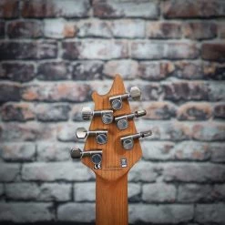 EVH Wolfgang WG Standard Exotic Bocote