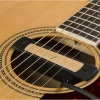 Fender Cypress Acoustic Pickup
