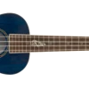 Ukuleles FENDER DHANI HARRISON UKE