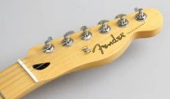 Fender Player Telecaster Electric Guitar | Black Finish | Maple Fingerboard