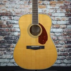 Fender PM-1 Standard Dreadnought | Natural Guitar