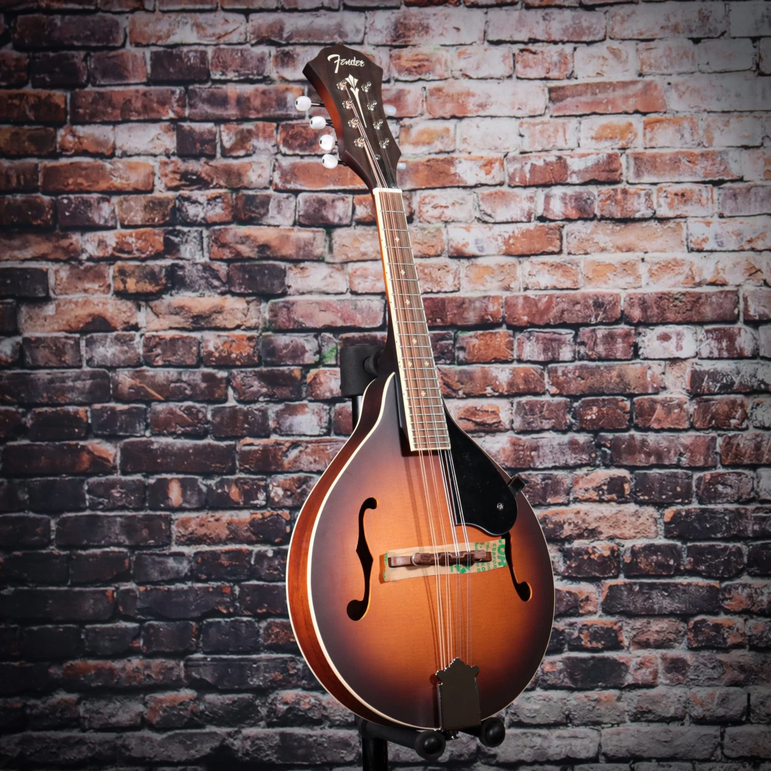 Fender PM-180E Mandolin | Aged Cognac Burst 4 Fender PM-180E Mandolin | Aged Cognac Burst