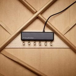 Fishman PowerTap Earth Body Sensor With Soundhole Pickup Guitar Accessories