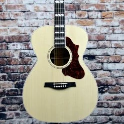 GODIN Fairmount CH LTD Rosewood HG EQ With Tric Case Guitar