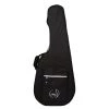 Godin TRIC Classic Folk Guitar Case | 041411 Guitar Accessories