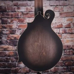 Gold Tone 12-String Mando/Guitar | Includes Case Hybrid Folk Instruments