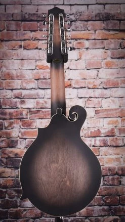 Gold Tone 12-String Mando/Guitar | Includes Case Hybrid Folk Instruments