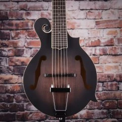 Gold Tone 12-String Mando/Guitar | Includes Case Hybrid Folk Instruments