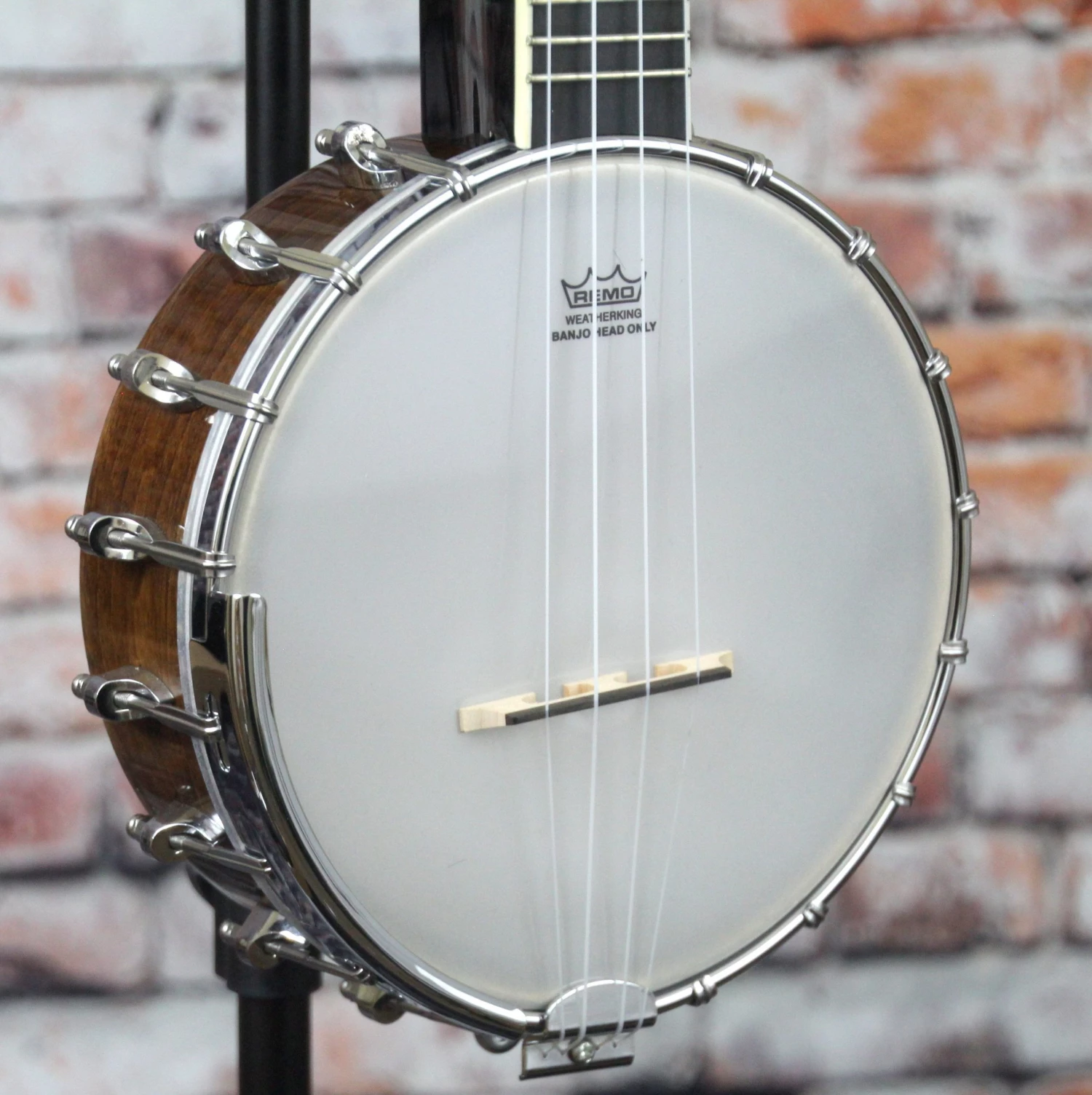 Gold Tone Banjolele 4 Gold Tone Banjolele