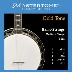 Folk Instrument Accessories Gold Tone BSM Medium Gauge Banjo Strings