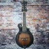 Hybrid Folk Instruments Gold Tone F-6 F-Style 6-String Mandolin Guitar