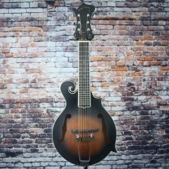 Hybrid Folk Instruments Gold Tone F-6 F-Style 6-String Mandolin Guitar