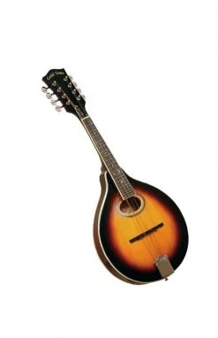 Gold Tone GM-50 A-Style Mandolin