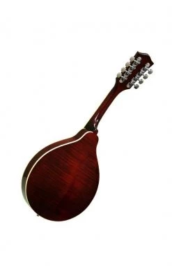 Gold Tone GM-50 A-Style Mandolin