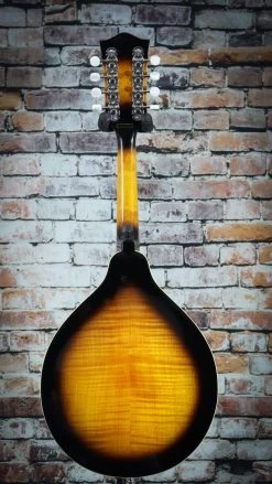 Gold Tone GM-50+ A-Style Mandolin With Pickup