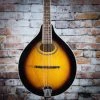 Gold Tone GM-50+ A-Style Mandolin With Pickup